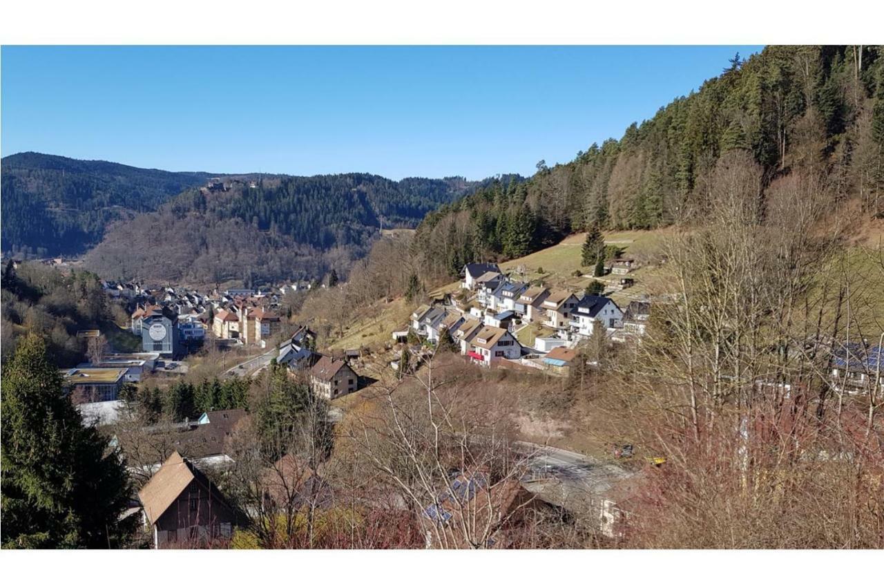Talstadtblick シュランベルク エクステリア 写真